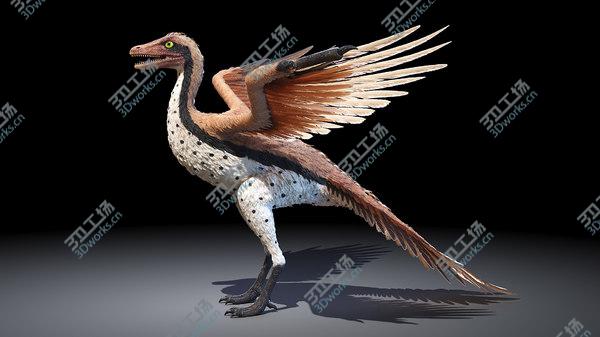 images/goods_img/20210312/Archaeopteryx 3D model/4.jpg